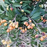 Penzion Agrialma