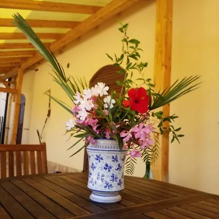 Agrialma Guest house