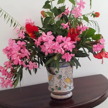 Guest house Agrialma