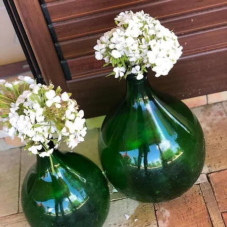 Agrialma בית הארחה 3*